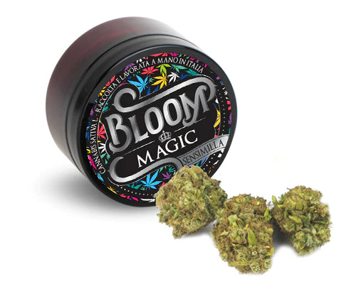 Bloom Magic