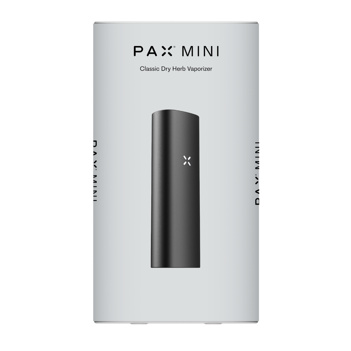 PAX Mini 2