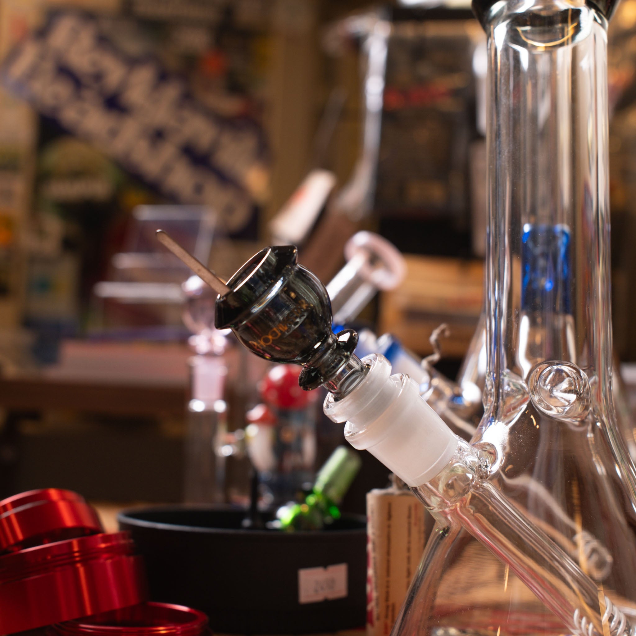 Lónið þitt | Búnt